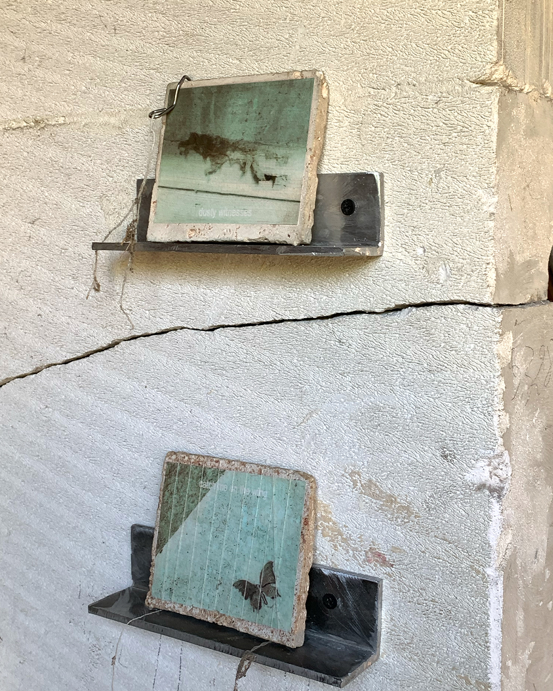 Dusty witnesses